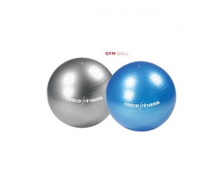 Cosco Gym Ball 65Cm